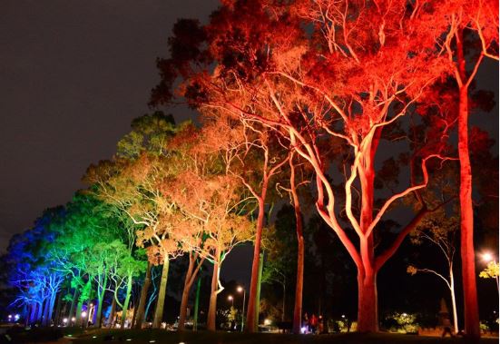 Festival of lights
